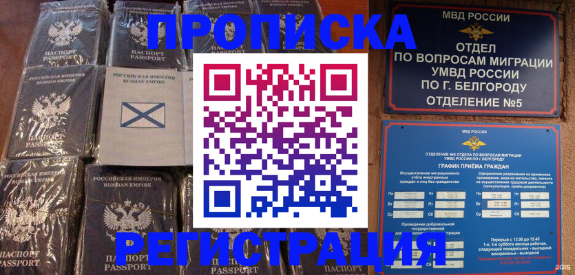 прописка гарантия в Кудымкаре